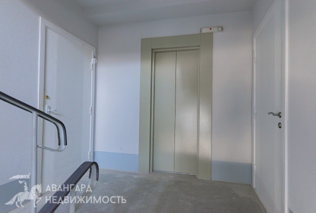 Фото Новая Трехкомнатная квартира с ремонтом, метро Михалово — 47
