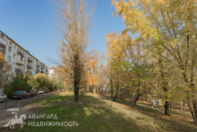 Фото Двухкомнатная квартира рядом с метро Парк Челюскинцев или Московская — 35