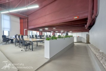 Фотография - Готовый офис 443,2 м2 в МФК «Колизей»