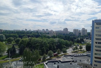 Фотография - Продаётся 1-комнатная квартира в Зелёном луге