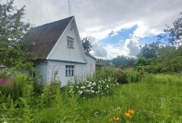 Фотография - Продается дача с просторным участком