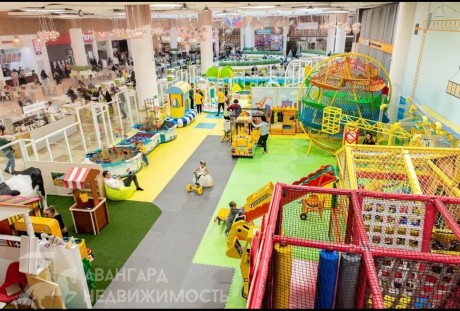 Действующий крупный детский центр