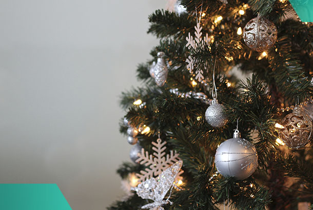 Что делать с елкой после праздников?