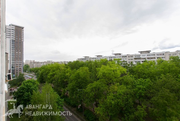 Фото Однокомнатная квартира с видом на сквер + огороженная территория — 29
