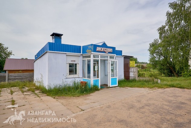 Фото Дача 18 км от Минска недалеко от реки Свислочь — 89