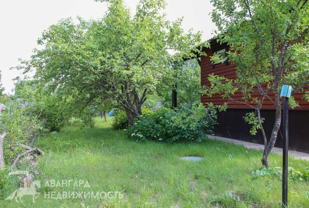Фото Дом из красного кирпича с террасой и камином в СТ «Тонус» (вблизи д.Турковщина) — 49