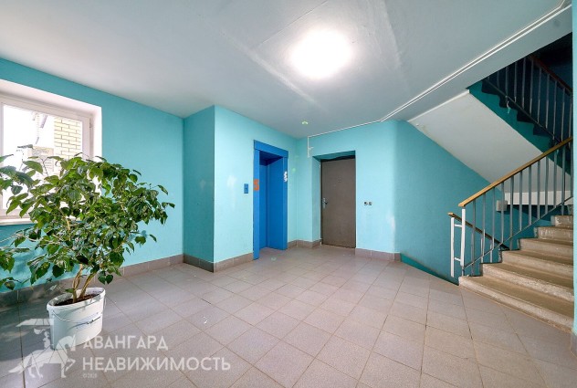Фото 3-к квартира улучшенной планировки в кирпичном доме в экологичном районе Боровляны, аг. Лесной 34. — 39