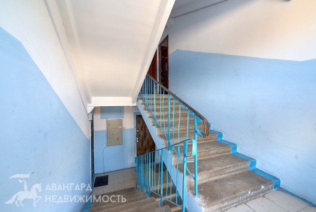 Фото Мир выглядит ярче сквозь ваши собственные окна. 2-комнатная квартира на проспекте Рокоссовского, 137 — 31