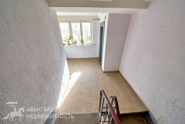 Фото 3-комнатная квартира с раздельными комнатами, пр-т Пyшкина 64 — 39