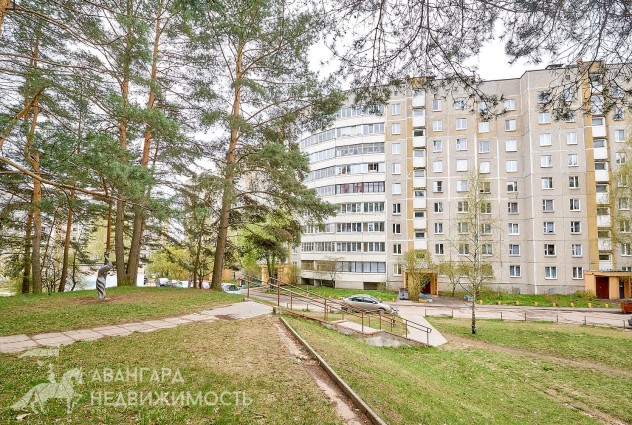 Фото Перемещайтесь туда, где жизнь лучше. Жить в городе и дышать сосновым лесом! Двушка  в Уручье, 17 и 12 м2 — 39