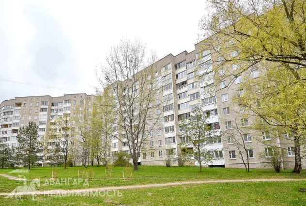 Фото Перемещайтесь туда, где жизнь лучше. Жить в городе и дышать сосновым лесом! Двушка  в Уручье, 17 и 12 м2 — 41