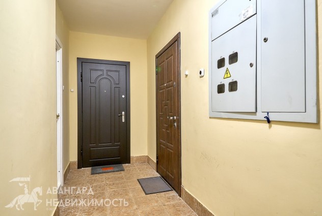 Фото 2-комнатная квартира с ремонтом в Боровлянах — 51