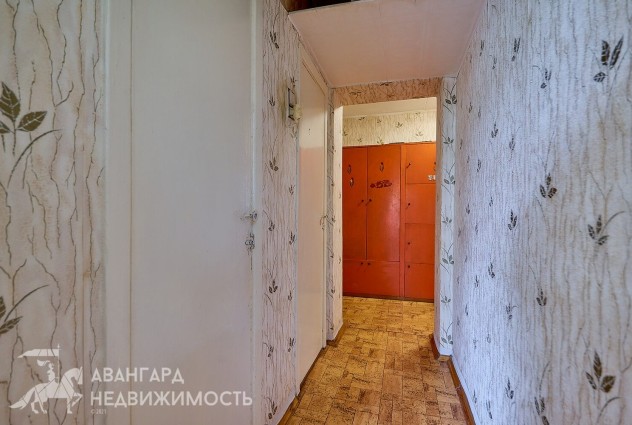 Фото Уникальное предложение! 2-комнатная квартира в санаторно-курортной зоне вблизи а.г. Радошковичи — 27