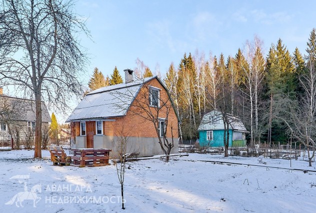 Дом у леса в СТ «Юбилейное-1» купить дачу за мкад