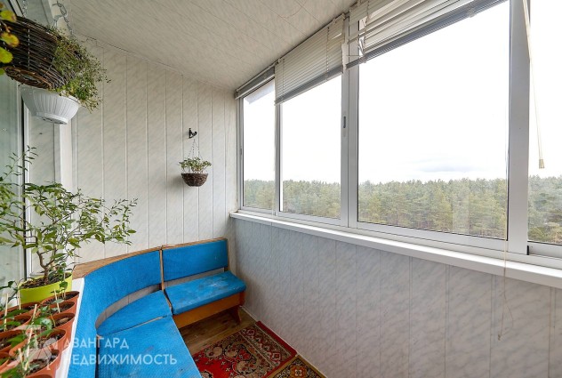 Фото 2-комнатная квартира с видом на сосновый лес — 37