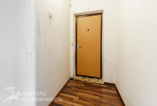 Фото Однокомнатная квартира возле метро Пушкинская с евроремонтом. — 23