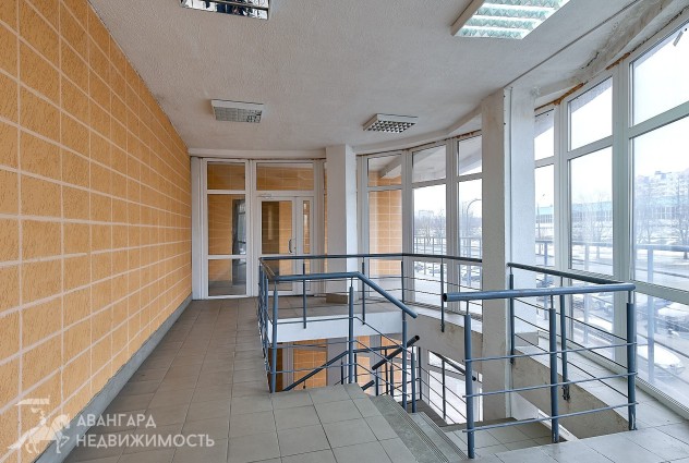 Фото Офис с ремонтом возле м. Спортивная, ул. Одоевского 115а — 39
