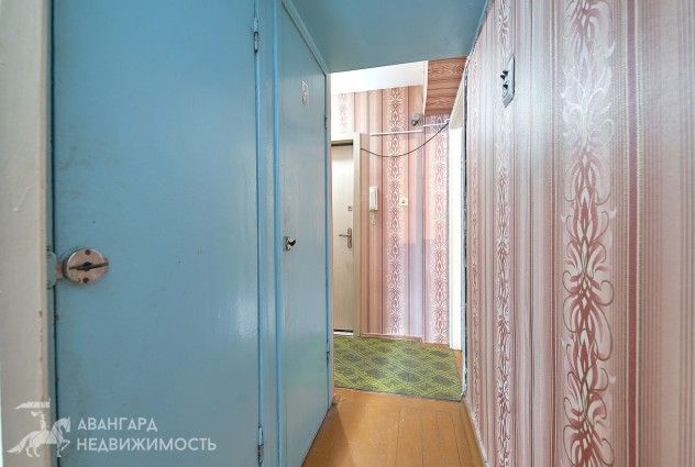 Фото 2-я квартира в пяти минутах ходьбы от ст. метро «Пушкинская» — 29