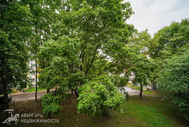 Фото Поиски закончены! Двушка с ремонтом. — 45