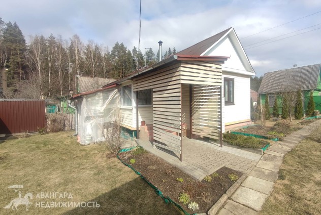 Фото Купить дачу, СТ Спорт (Минский р-н) — 7