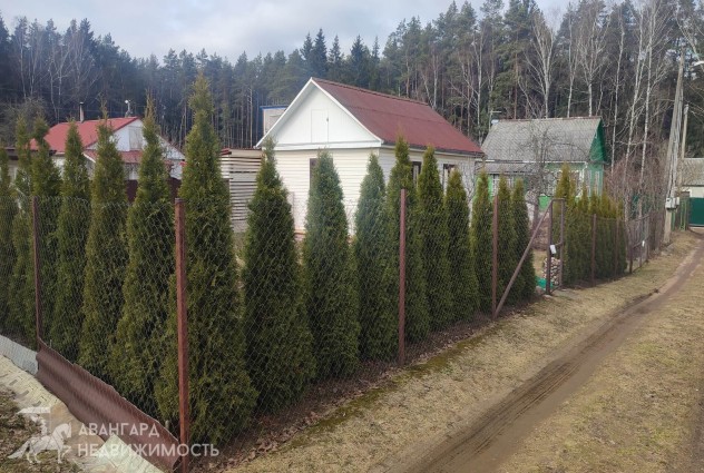 Фото Купить дачу, СТ Спорт (Минский р-н) — 11