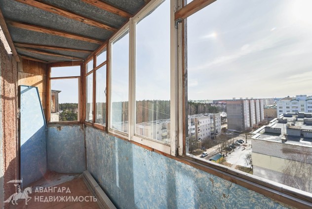 Фото 2-комн. квартира с большой кухней, аг. Лесной — 37