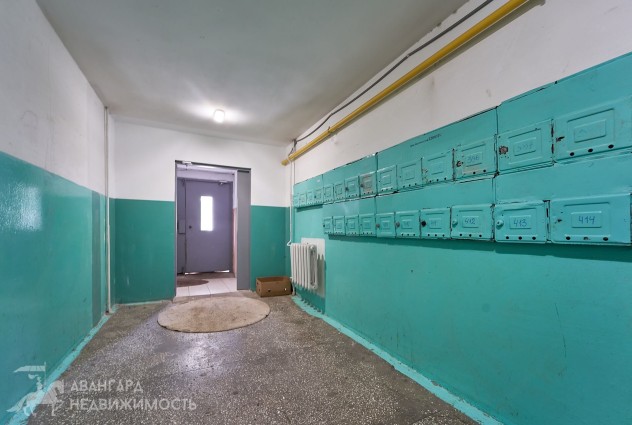 Фото 1к с ремонтом, панорамным видом и водным каналом. — 23
