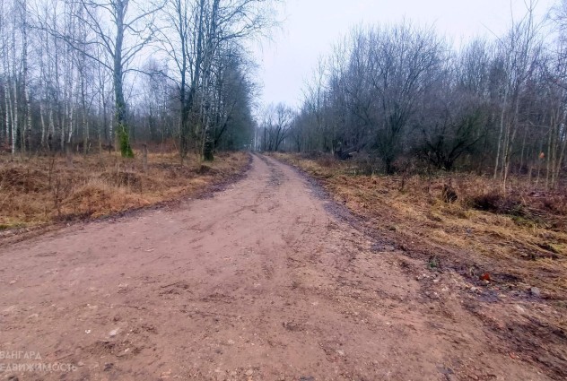 Фото Продажа производственно-складской базы вблизи д. Станьково — 25