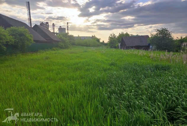 Фото Продажа дома с участком: Столбцовский р-н, д. Заямное — 17