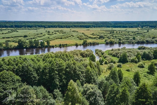 Фото Продается усадьба на берегу реки Березина в деревне Тополь — 61