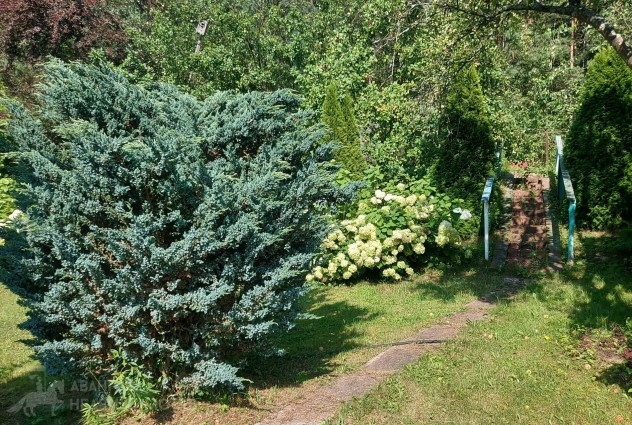 Фото Продается участок в СТ «Узборье» в живописном месте, Логойское направление. — 21