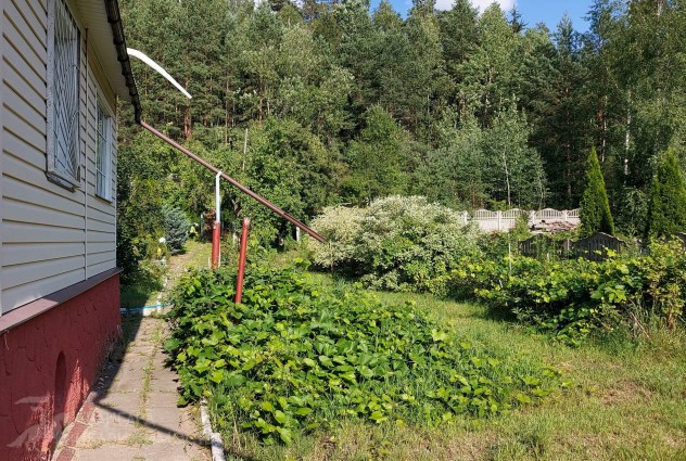 Фото Продается участок в СТ «Узборье» в живописном месте, Логойское направление. — 9