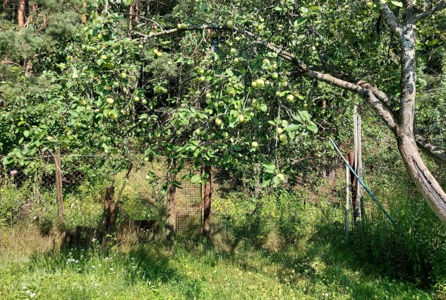 Фото Продается участок в СТ «Узборье» в живописном месте, Логойское направление. — 13