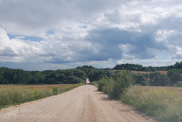 Фото Продается участок в СТ «Чернявка» в живописном месте, Мядельское направление. — 29