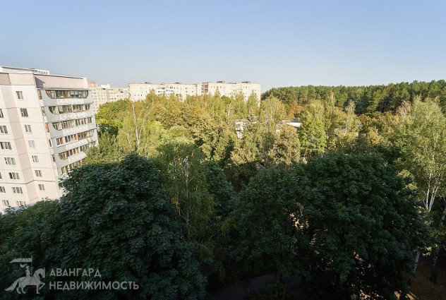 Фото 1-комн квартира по ул. Тикоцкого, 34к1 — 13