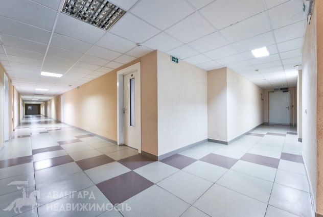 Фото Офисы от 51,8 м² до 114,8 м² (ст. м. “Молодежная”) — 3