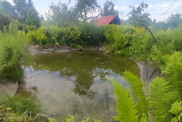 Фото Продается дача рядом с водохранилищем — 23