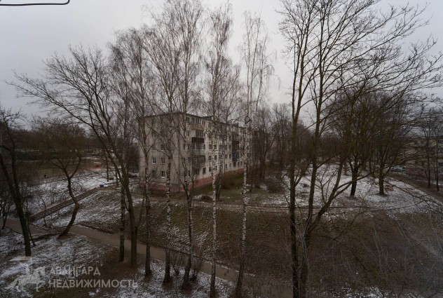 Фото Уютная 1-комнатная квартира недалеко от метро «Пушкинская» — 37