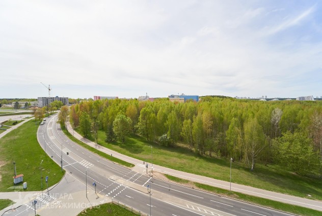 Фото 1-комнатн. квартира в Уручье с видом на лес — 27