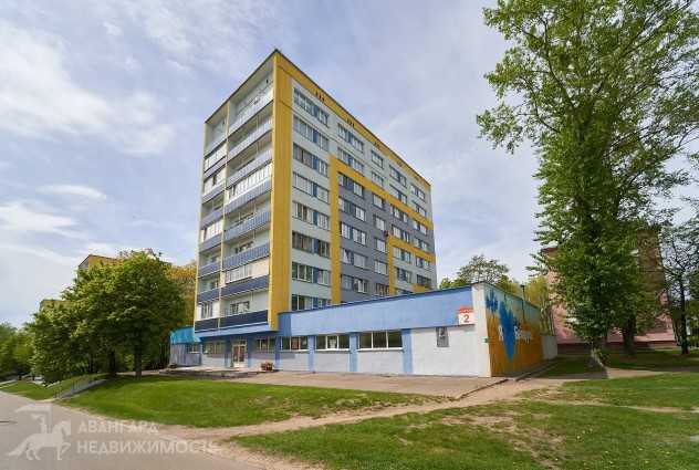 Фото Однушка в кирпичном доме на Ванеева д. 2 — 3