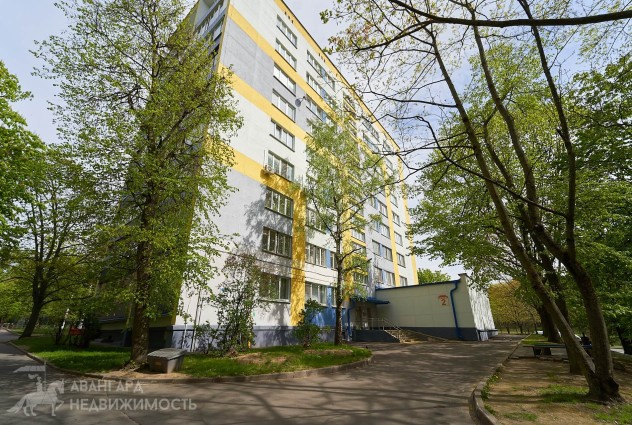 Фото Однушка в кирпичном доме на Ванеева д. 2 — 5