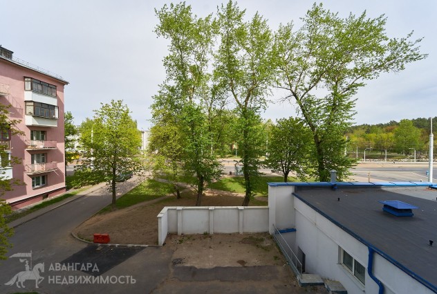 Фото Однушка в кирпичном доме на Ванеева д. 2 — 39
