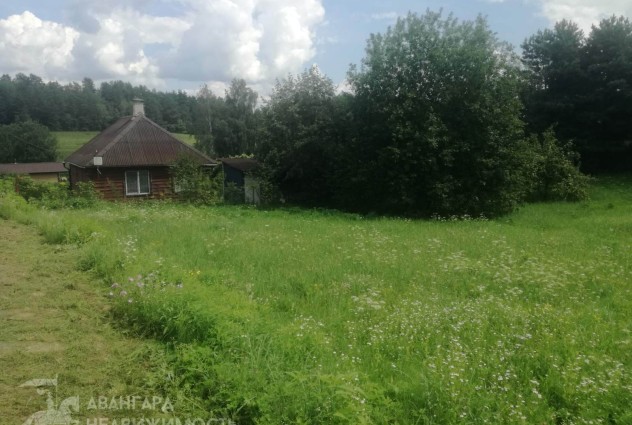 Фото Продаётся участок в СТ “АгроБелОИ”, 25 км от Минска — 3