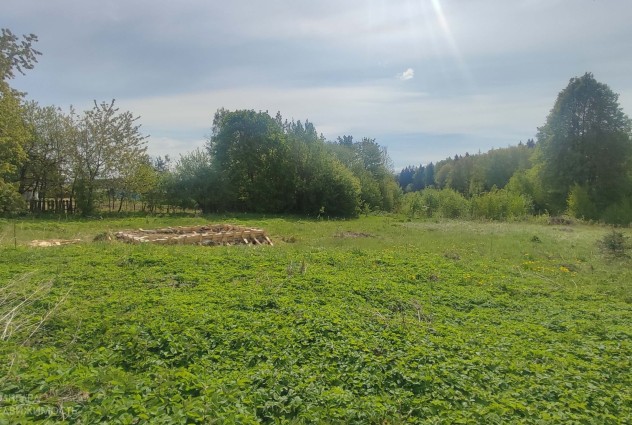Фото Продажа участка в живописном месте — 3