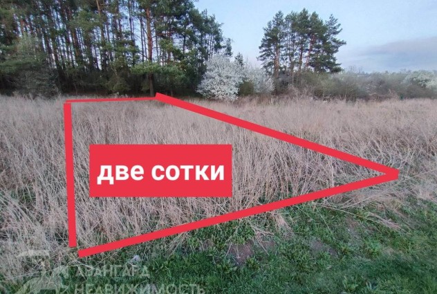 Фото Продается уютная и компактная дача в СТ «Мотор». — 25