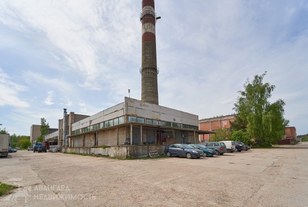 Фото Продажа комплекса зданий с земельным участком 4 гектара — 17