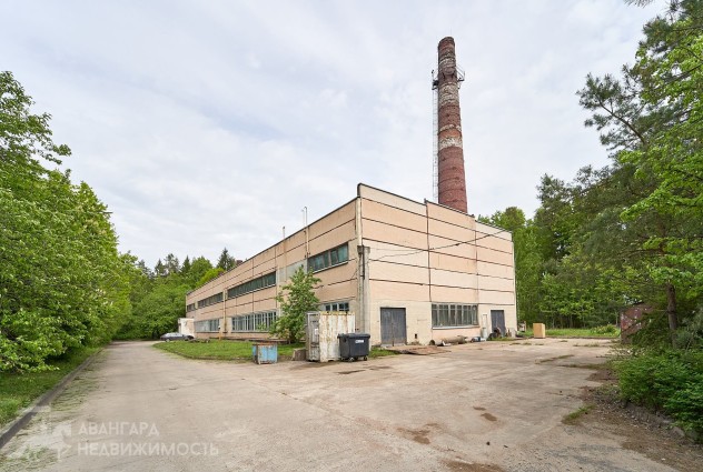 Фото Продажа комплекса зданий с земельным участком 4 гектара — 27