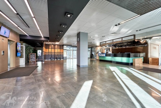 Фото Офис 207,3 м² с новым ремонтом возле метро “Молодежная” — 23