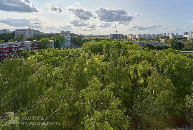 Фото 2-комнатная квартира в Фрунзенском районе — 31