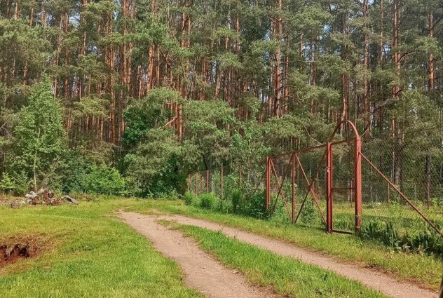 Фото Продаётся дом с участком в СТ “Система ”, 56 км от Минска — 67